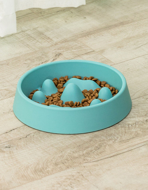 Load image into Gallery viewer, Pet Slow Food Bowl
