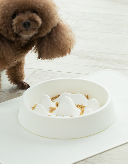 Load image into Gallery viewer, Pet Slow Food Bowl
