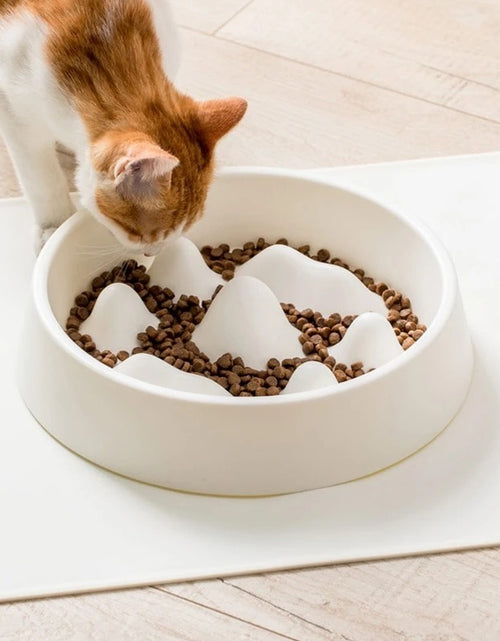Load image into Gallery viewer, Pet Slow Food Bowl
