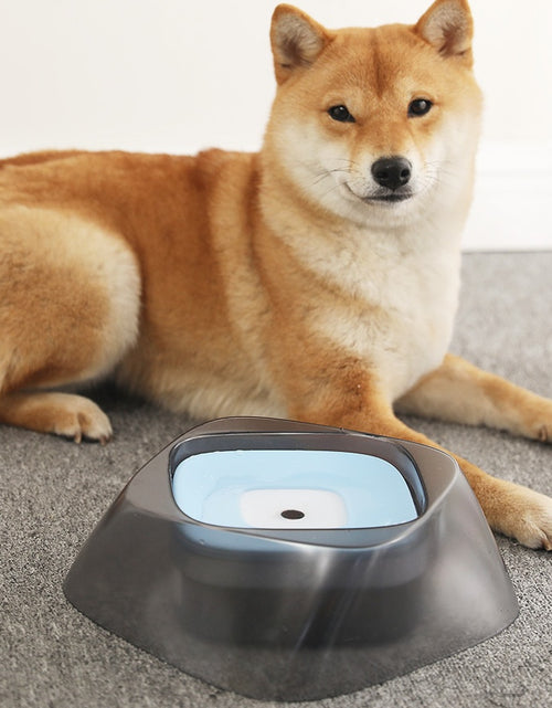 Load image into Gallery viewer, Pet Dog Bowl Floating Not Wetting Mouth Cat Bowl No Spill Drinking Water Feeder
