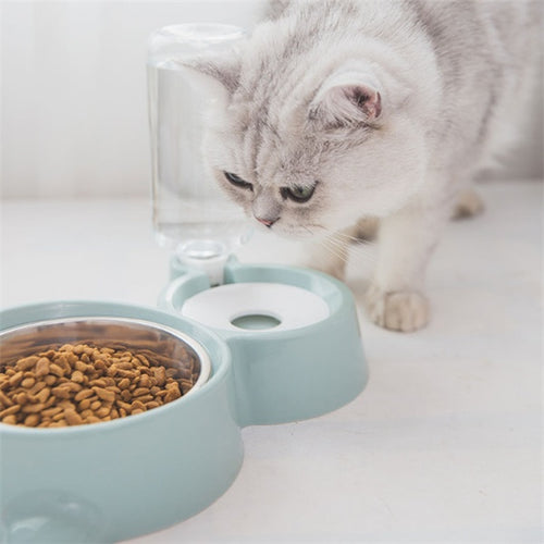 Load image into Gallery viewer, Dog bowl
