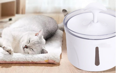 Load image into Gallery viewer, Pet Water Dispenser Intelligent Automatic Circulating Filter Water Dispenser
