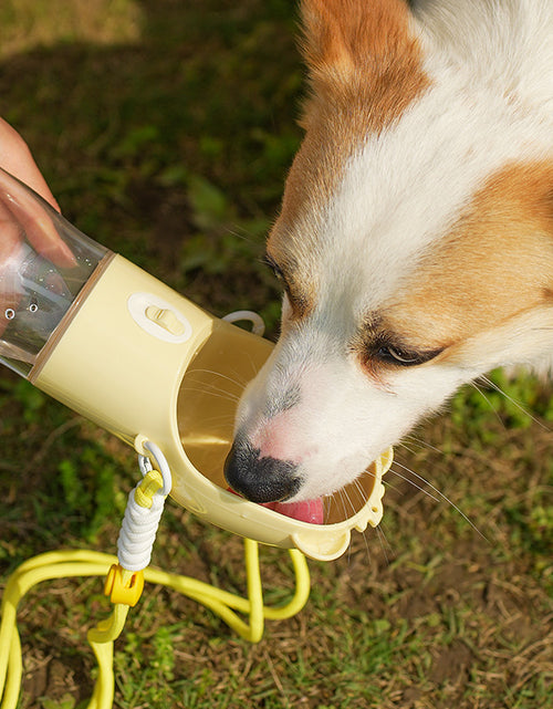 Load image into Gallery viewer, 2 In 1 Portable Dog Water Bottle For Small Big Dogs Cat Outdoor Leak-proof Puppy Drinking Bowl With Food Container Pets Feeder Pet Products
