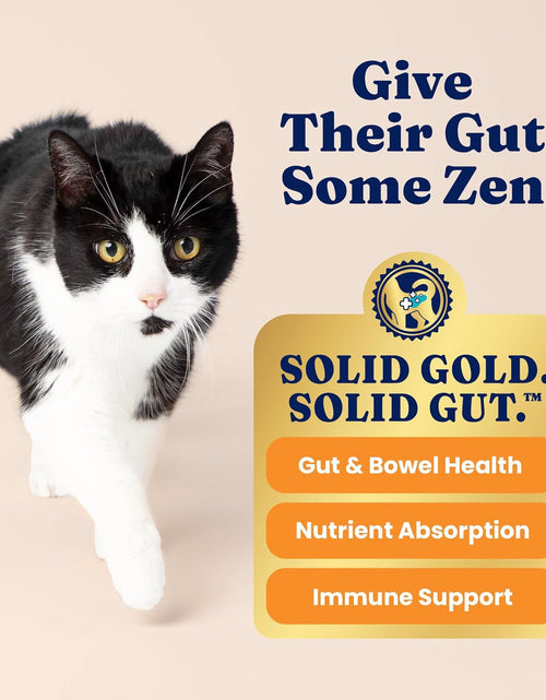 Load image into Gallery viewer, - Let’S Stay in - Grain-Free - Indoor Formula Dry Cat Food with Superfoods - Hairball Control - Protected Probiotic Blends - Holistic Food for Adult Cats
