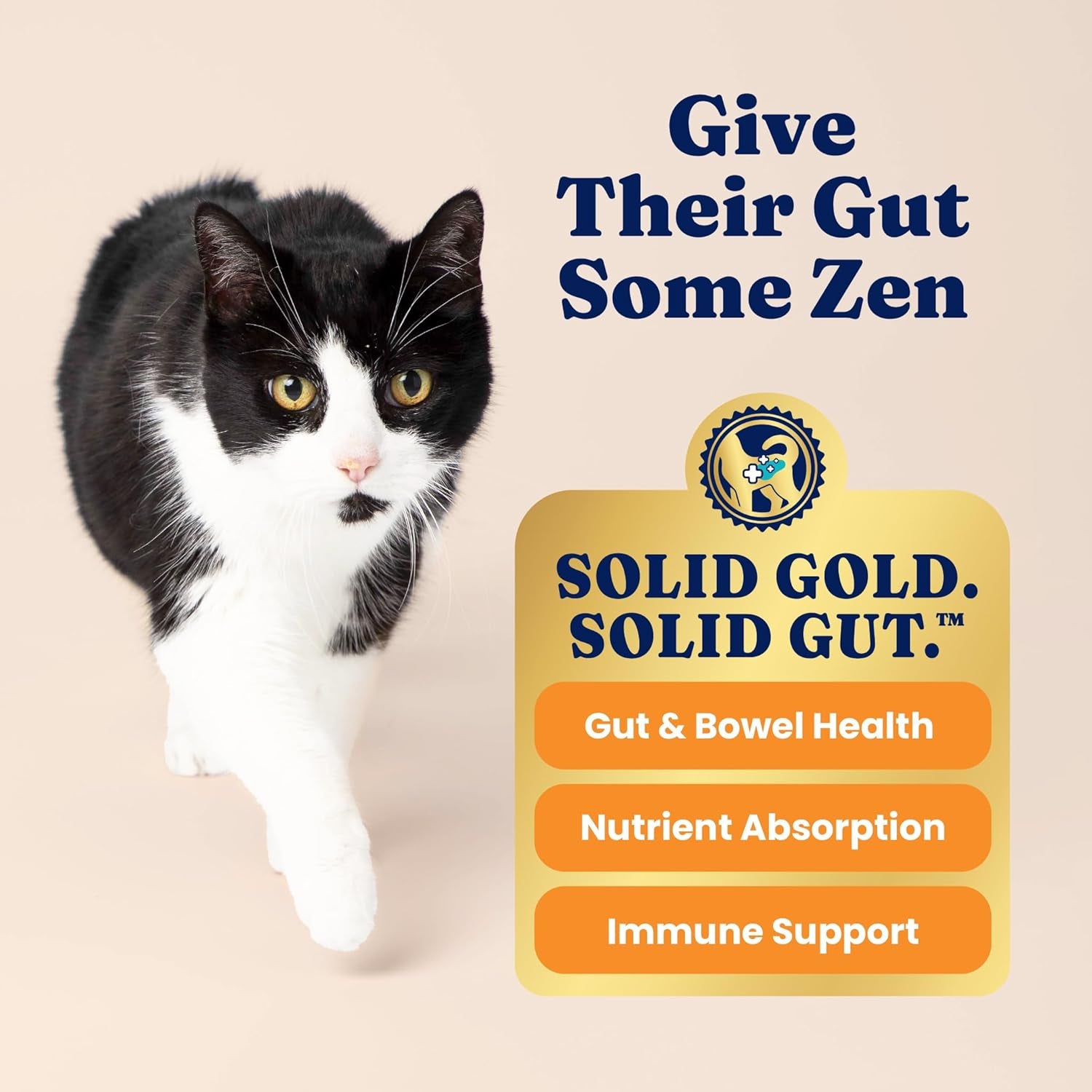 - Let’S Stay in - Grain-Free - Indoor Formula Dry Cat Food with Superfoods - Hairball Control - Protected Probiotic Blends - Holistic Food for Adult Cats
