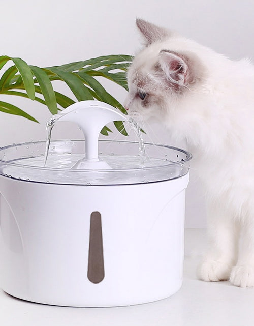 Load image into Gallery viewer, Pet Water Dispenser Intelligent Automatic Circulating Filter Water Dispenser
