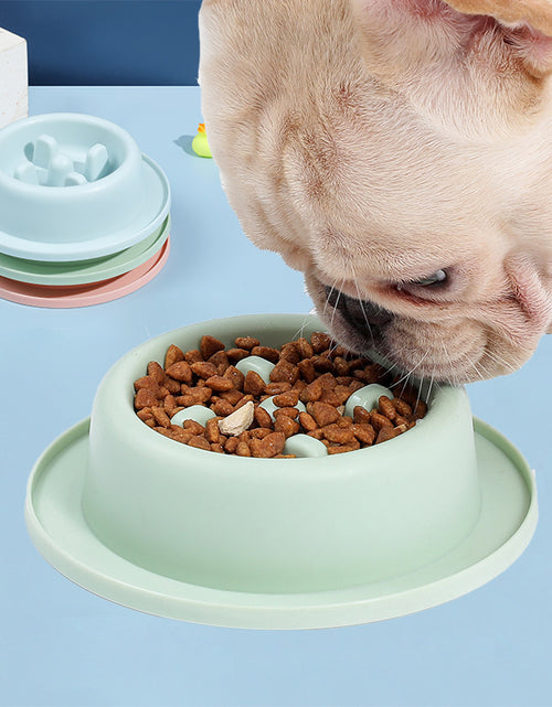 Load image into Gallery viewer, Pet Slow Food Bowl Anti-choking Food Apparatus

